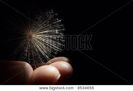 Fragile