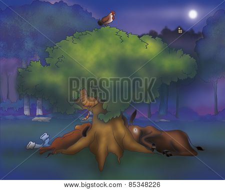 Donkey dog roster and cat sleeping
