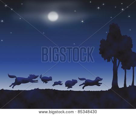 Animals by night