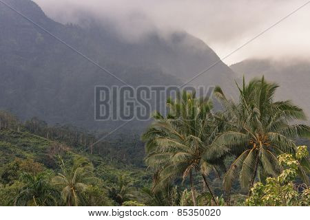 View Overlooking Hanalei On Kauai, Hawaii