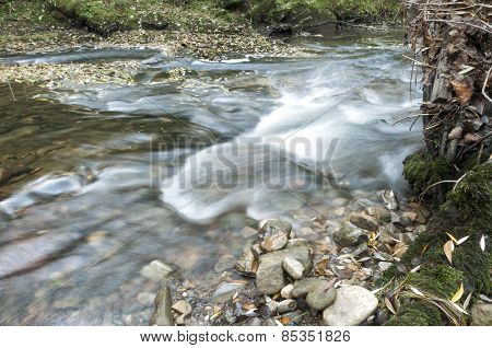 River Stream
