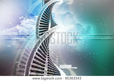 model of twisted chrome DNA chain