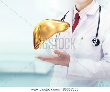 Doctor With Stethoscope And Golden Liver On The  Hands In A Hospital