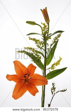 Flower bouguet