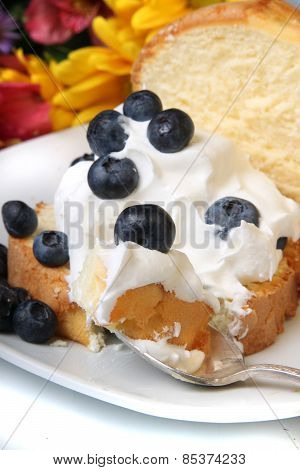 Blueberry Shortcake