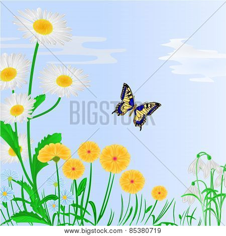 Spring Flowers And Butterfly Blue Background Vector
