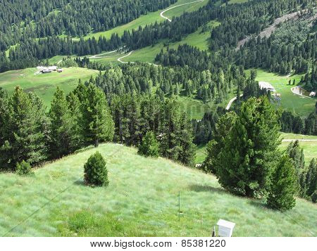 Panoramic Mountain View