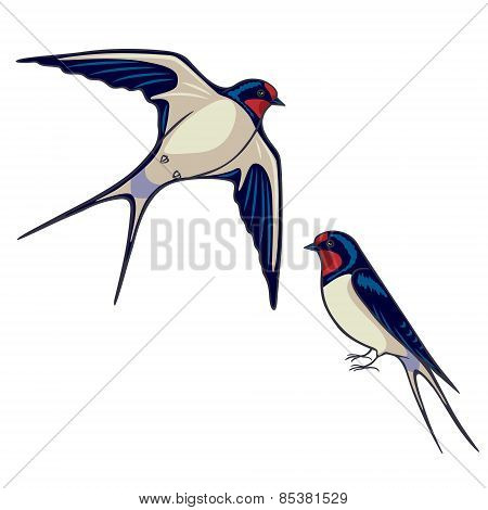 Two Swallows