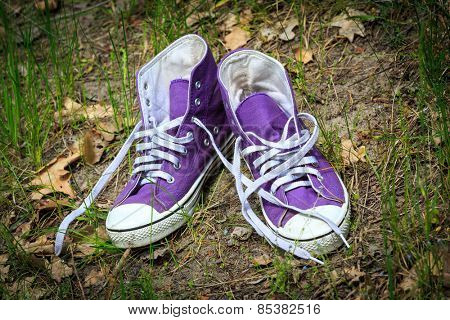 pair of gymshoes in green grass 