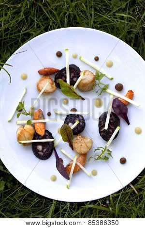 Saint-jacques Dish