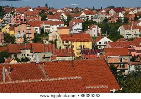 Roofs Of A Suburb.