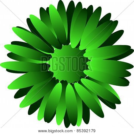 Green Flower