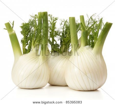 Fresh fennel bulb isolated on white background close up