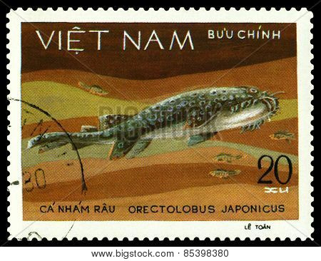 Vintage  Postage Stamp. Orectolobus Japonicus.