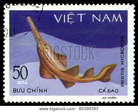 Vintage  Postage Stamp. Pristis Microdon.