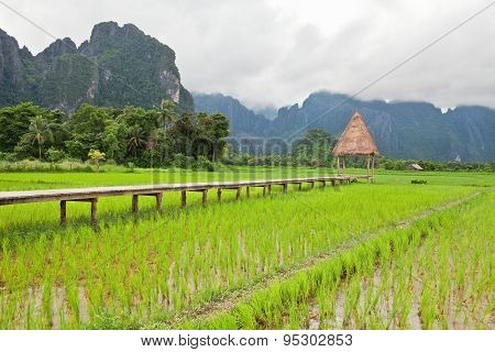 Wooden Bridge Leading To Gazebo
