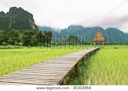 Wooden Gazebo And Rice Fields