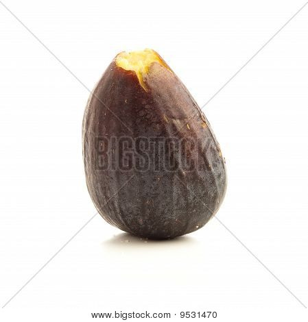 Fig