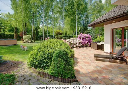 Garden At Summer Time