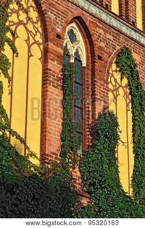Koenigsberg Cathedral, Facade Fragment