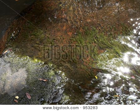 Waterpath