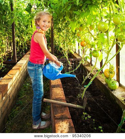 Child watering the garden. Girl helps to do the work in the greenhouse