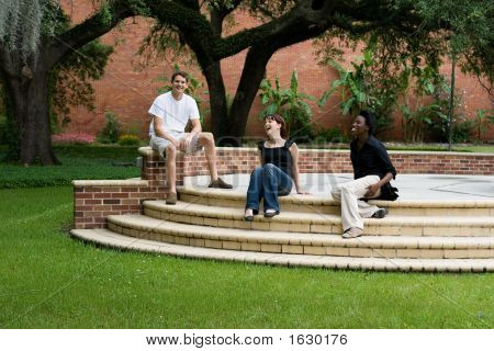 Amigos de la Universidad