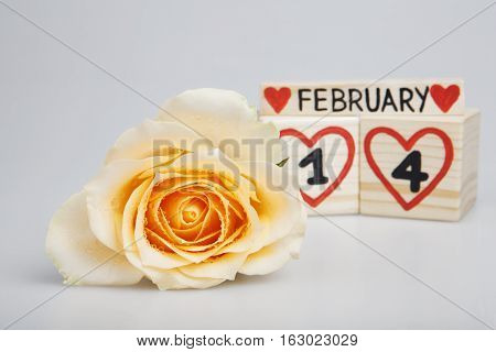 Valentine's day composition with yellow rose and wooden calendar.  Handwritten February 14th, red hearts. Bright background.