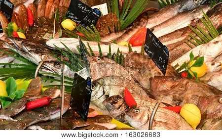La Flotte France - september 27 2016 : fish shop at market