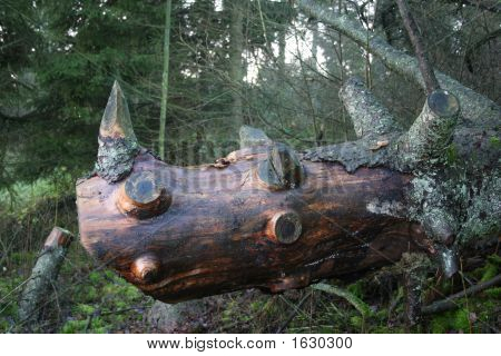 Rhino in legno