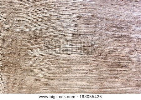 Brown Paper Division background brown wall. Placed an orderliness.