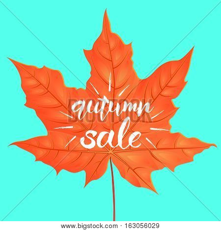 Hand drawn lettering of a phrase Autumn Sale. Vector illustration. Shape of maple leaf. Creative design template. Cartoon style