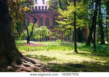 Garden Near The Chernivtsi National University