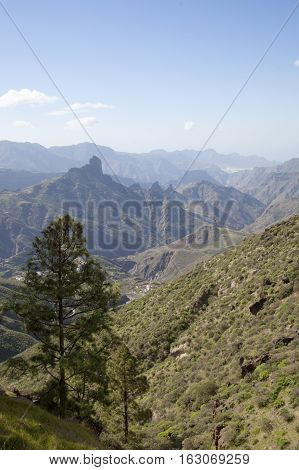 Central Gra Canaria In December