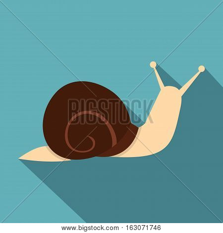Snail icon. Flat illustration of snail vector icon for web