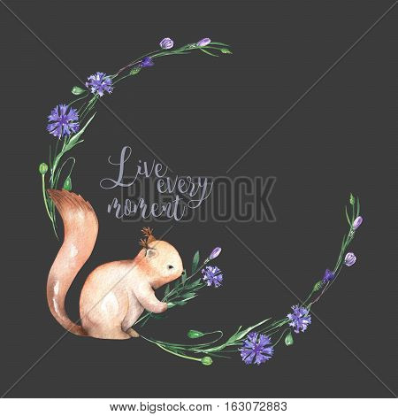 Illustration, wreath with watercolor squirrel and cornflowers, hand drawn isolated on a dark background, invitation, greeting card