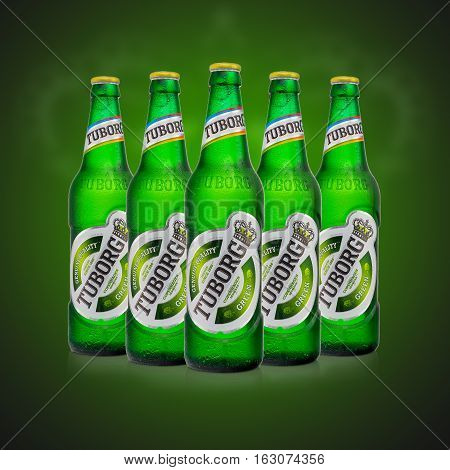 MINSK BELARUS - AUGUST 23 2016: Editorial photo of five cold bottles Tuborg glass beer on green background. Tuborg northern suburb of Copenhagen Denmark. It has been part of Carlsberg Group since 1970