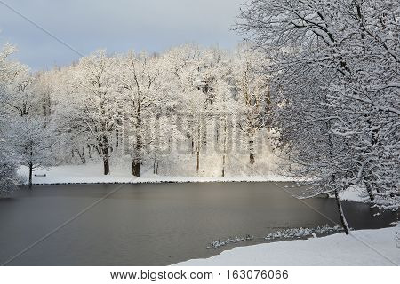 Scenic sunny landscape in the winter morning. Frozen lake and snow covered forest.