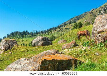Beautiful mountain landscape with horses in the foreground on a Sunny summer day Kyrgyzstan.