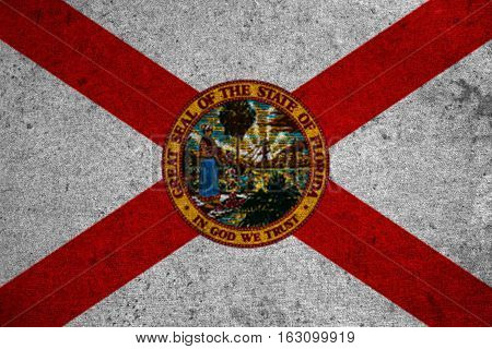Graphic American State Grunge Flag Of Florida