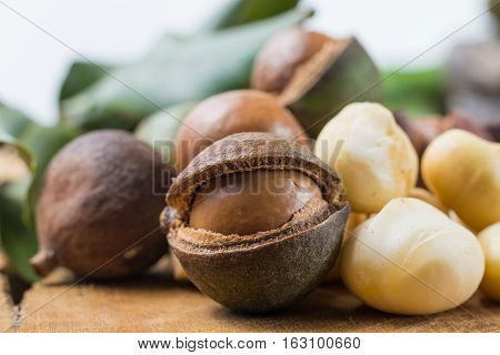Macadamia nuts in shell harvest close up