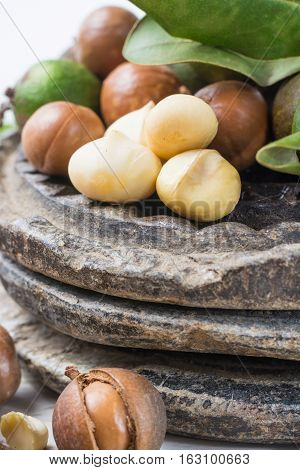 Macadamia nuts in shell harvest close up