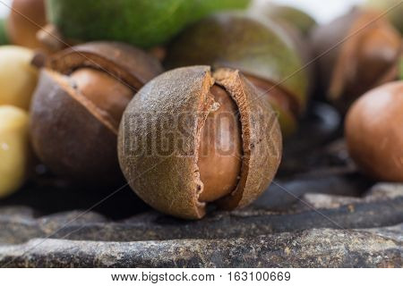 Macadamia nuts in shell harvest close up