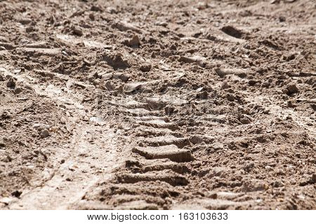 Soil is a natural clay minerals are naturally many species suitable for planting.