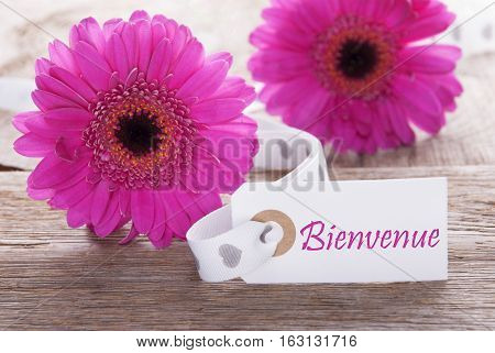 Label With French Text Bienvenue Means Welcome. Spring Gerbera Blossom. Vintage, Rutic Or Aged Wooden Background. Card For Spring Greetings.