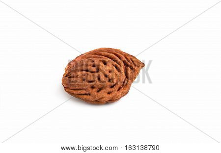 Bone peach isolated on white background 1
