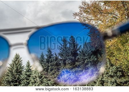 Landscape with green spruces over blue sunglasses