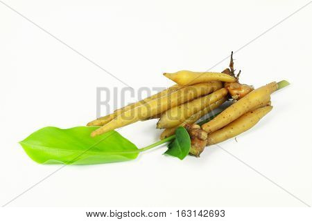 finger root Ingredients for Thai Cuisine on white background
