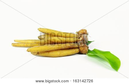 finger root Ingredients for Thai Cuisine on white background