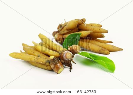 finger root Ingredients for Thai Cuisine on white background